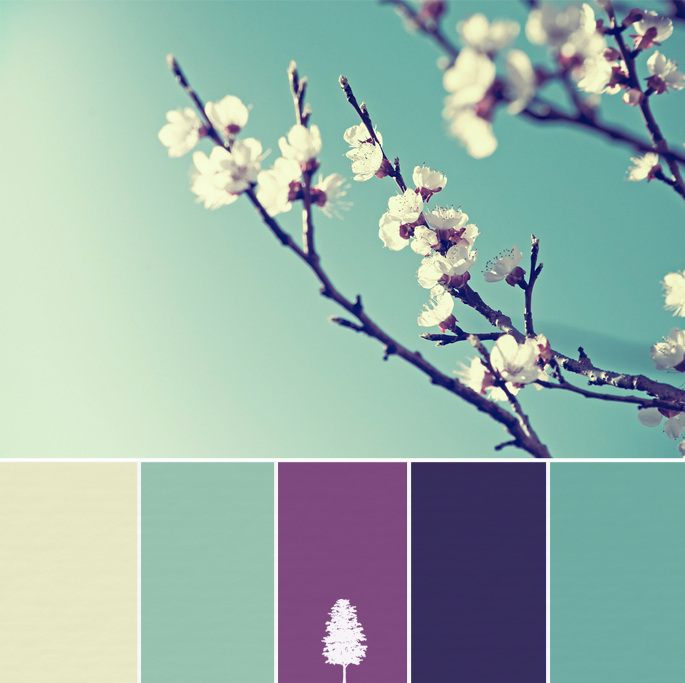 Teal and Purple Color Palette