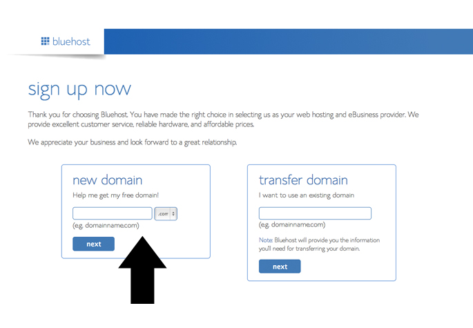 Domain Name Setup