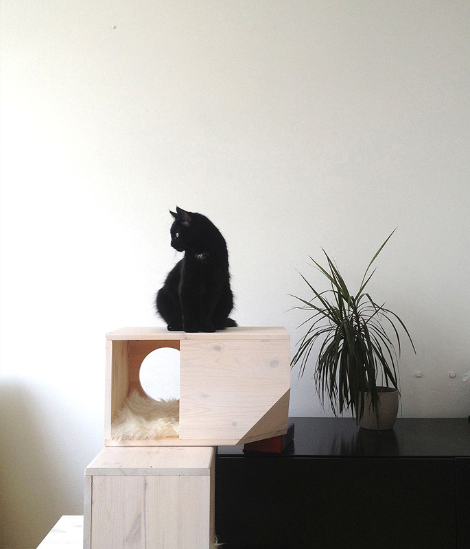 Cat Tower Home