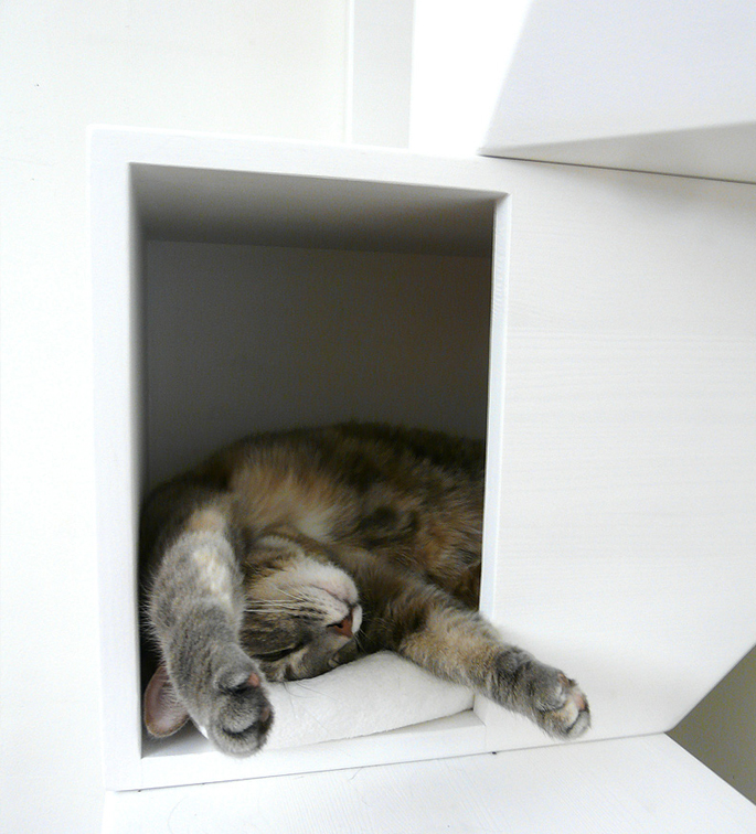Luxury Cat Beds
