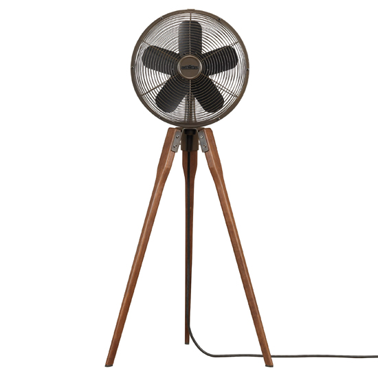 Rustic Vintage Fan