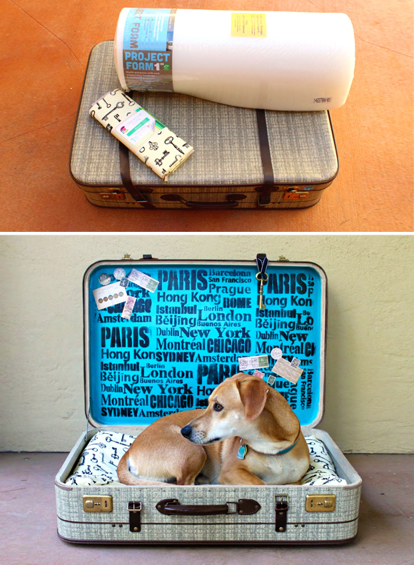 Making Sleeping Arrangements: Creative Ideas for DIY Dog Beds - #1 A suitcase dog bed