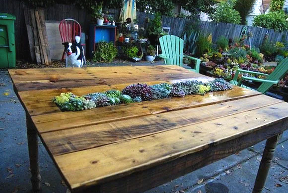 Is That a Pallet Swimming Pool? 24 DIY Pallet Outdoor Furniture Creations and Big Builds: #10 Table and succulent planter combo