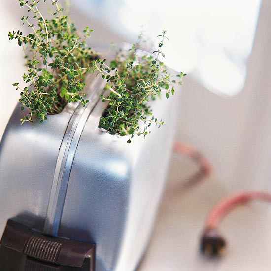 Inventive herb storage ideas